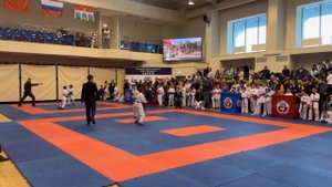 Спортивные достижения мытищинцев