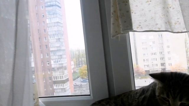 Новая стрижка/Идём на день рождение/Держатель проводов #буднимамы #семейныйканал #держательпроводов смотреть онлайн