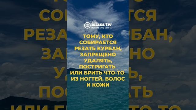 Тому, кто собирается резать курбан, запрещено удалять, постригать или брить что-то из ногтей, волос