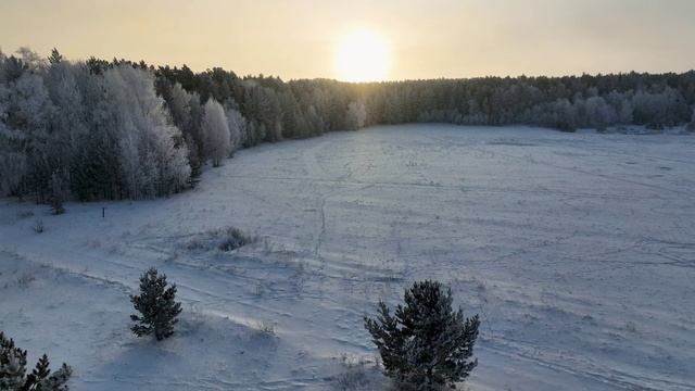 Акколь - Зимний лес - Рассвет