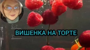 МАРТЫШКА И ОЧКИ. ПИРАТСКАЯ ЖИЗНЬ. ОБЗОР.