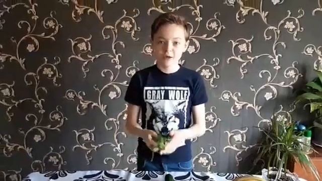 Готовим осьминогов из сосисок ? смотреть онлайн