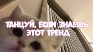 ?ТАНЦУЙ ЕСЛИ ЗНАЕШЬ ЭТОТ ТРЕНД ? ТРЕНДЫ 2023-2022 ?ТРЕНДЫ ТИКТОК ?