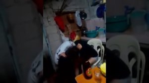 PEMAKSAAN......... TAPI UJUNGNYA MANTAP.////