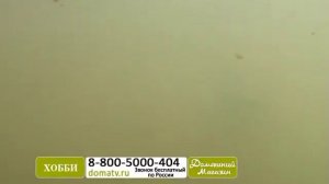 Набор приманок «Мечта рыбака». Набор силиконовых рыбок - наживок. domatv.ru