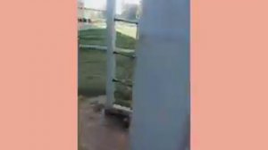 Клип на песню грибы копы