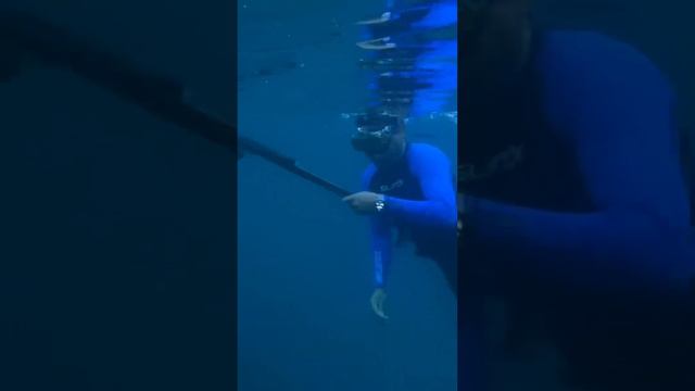 Spear fishing at Fujairah!