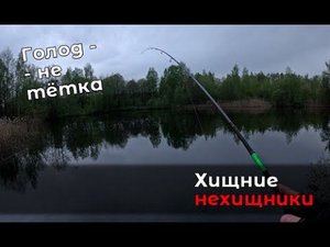 Рыбалка дождливым утром: Fish KayuKer открывает счет