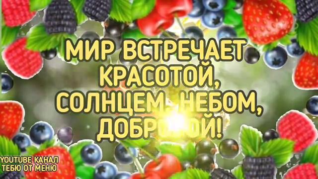 Летний приветик / доброе утречко  #пожеланиедоброгоутра #открыткидоброеутро #пожеланиясдобрымутром