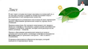 Биология 6 класс 18-20 недели. Фотосинтез