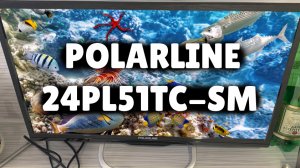 Телевизор POLARLINE 24PL51TC-SM
