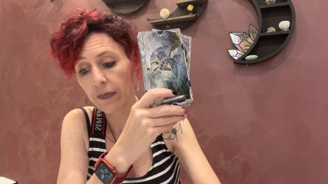 ? Phalenaria Review ? #oracle #review #gabrielleroy смотреть онлайн