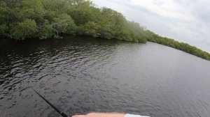 Choosing the RIGHT Rod & Reel for Inshore Fishing [Redfish, Snook, Trout]