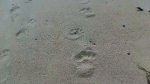 Бухта Тачингоуза  Окресности п Валентин