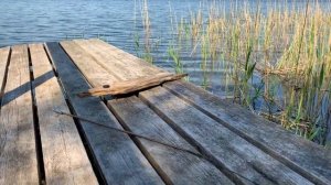 Подбор длины ружья для подводной охоты. Как определить нужную длину арбалета?
