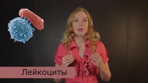 КРОВЬ. ЕГЭ по биологии | TutorOnline | Биология