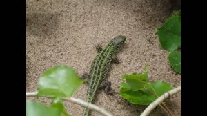 Сплав по реке Кильмезь 2011