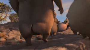 Песня мото-мото Мадагаскар