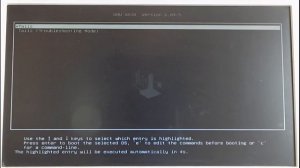 Устанавливаем TAILS (The Amnesic Incognito Live System) на флешку.