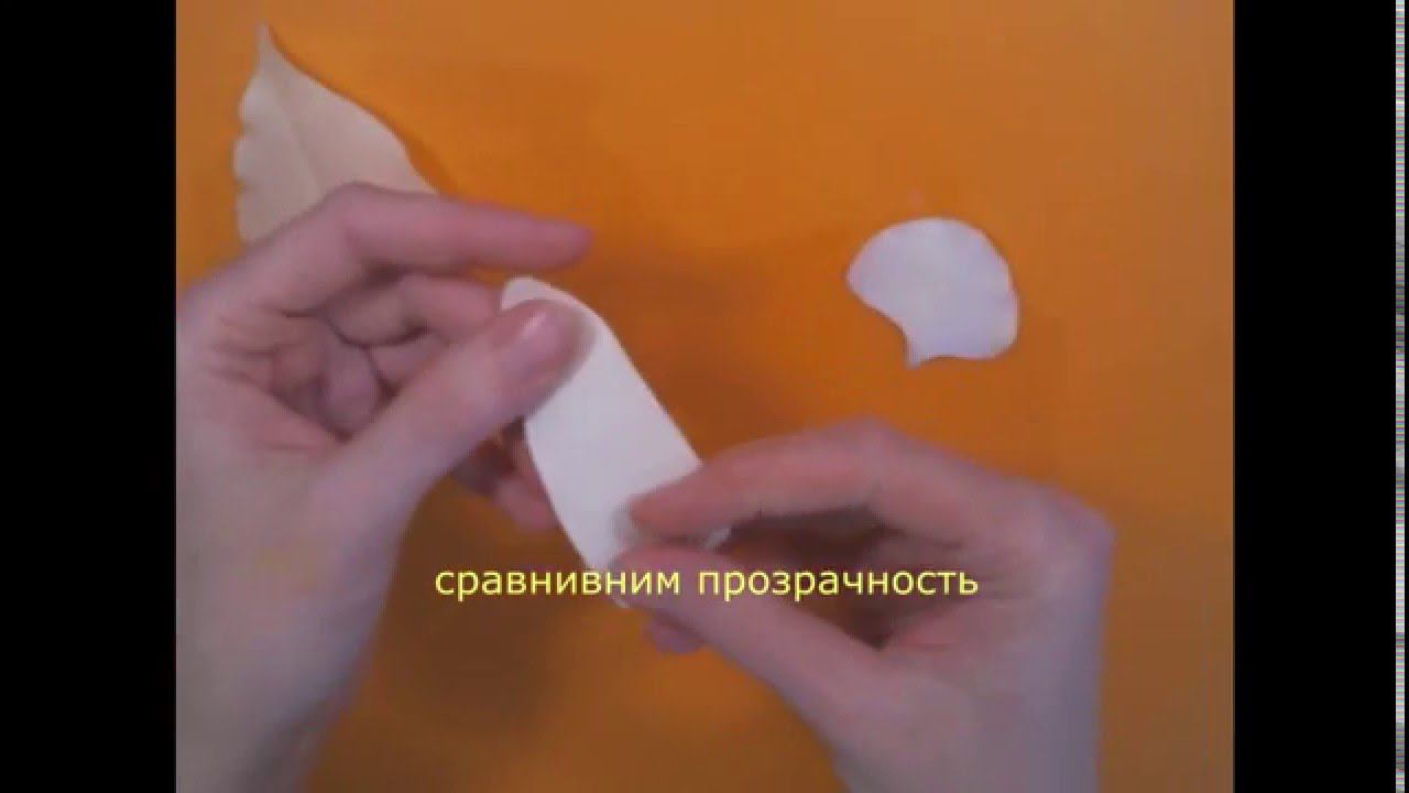 тест гудвина смотреть онлайн