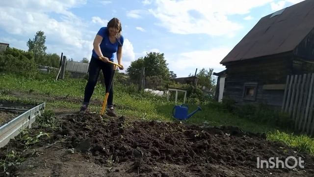 КУПИЛИ ЗАБРОШЕННУЮ ДАЧУ/28/КАКОЙ УЖАС,ВСЕ ЗАРОСЛО/РАЗРЫХЛИЛА/ПОДКОРМИЛА/ВЫСАДИЛА