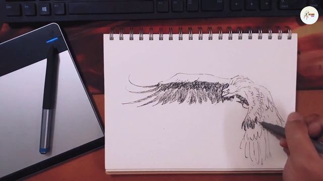 let's draw an eagle ? смотреть онлайн