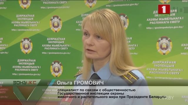 В Гомеле на реке Сож задержали браконьера во время очередного промысла смотреть онлайн