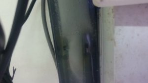 Bubble Magus QQ1 Test