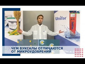 Чем Вуксалы отличаются от микроудобрений?/Вуксал в России/Применение Вуксал