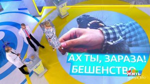 Бешенство. Жить здорово! Фрагмент выпуска от 13.05.2019