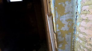 Заброшенный лагерь "Огонёк" в лесу Подмосковья. Что мы тут нашли спустя 20 лет