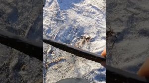 Ремонт крепления задней подвески ваз-2109 своими руками из подручных средств.