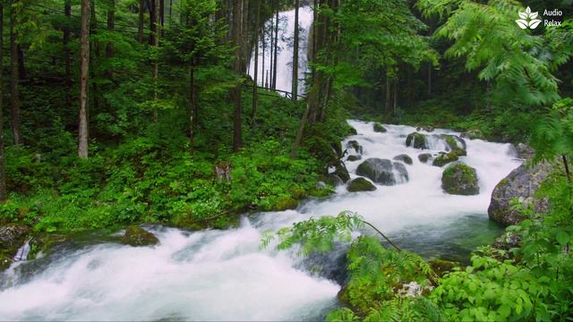 Relaxing Rapid river White Noise. (10 hours). Sleep sounds. смотреть онлайн