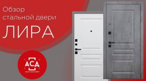 Обзор стальной двери Лира