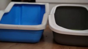 Наполнитель Tofu (тофу) Чистый котик