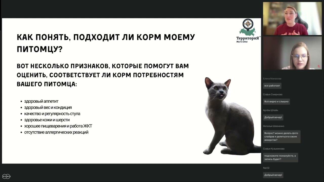 Основы питания собак и кошек. Лектор: Маргарита Скоробогатова
