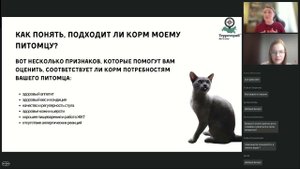 Основы питания собак и кошек. Лектор: Маргарита Скоробогатова