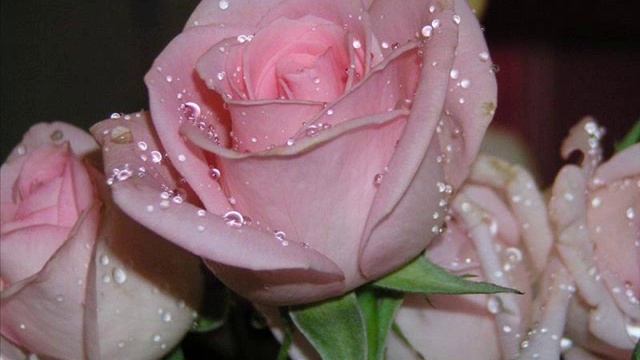 ЖЕЛАЮ СЧАСТЬЯ, ЗДОРОВЬЯ И РАДОСТИ!!! смотреть онлайн