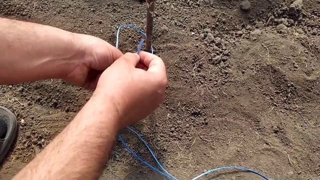 Как подвязать огурци. Супер способ. смотреть онлайн