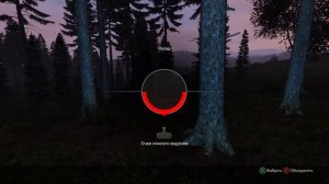 ГАЙД. Как включить очки ночного видения в DayZ на XBOX, PS4.