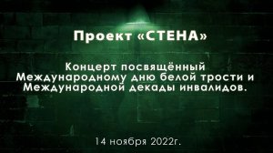 Концерт посвящённый Международному дню белой трости и Международной декады инвалидов. 11 ноября 2022