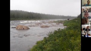 Wetland, Woodland, Wildland