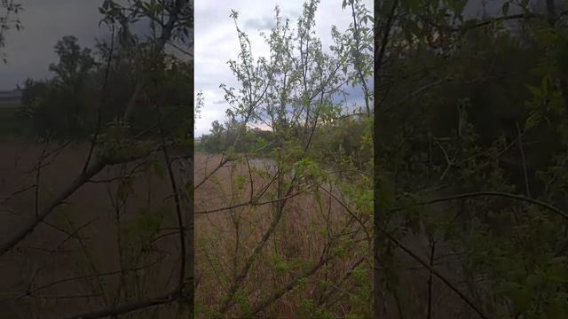 Биполярка, личный опыт. На старт. смотреть онлайн