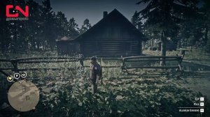 All 5 Alaskan Ginseng Plants in One Location - RDR2 Online Daily Challenge Pick 5 Alaskan Ginseng