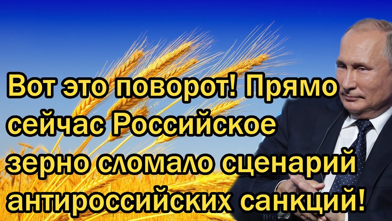 Вот это поворот! Прямо сейчас Российское зерно сломало сценарий антироссийских санкций!