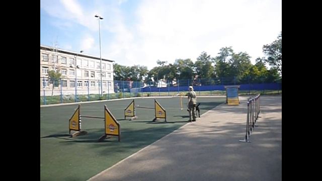 Ризеншнауцер Лорри. Прыжковая тренировка смотреть онлайн