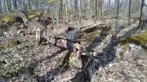 Майские праздники на Вуоксе. 2021 год