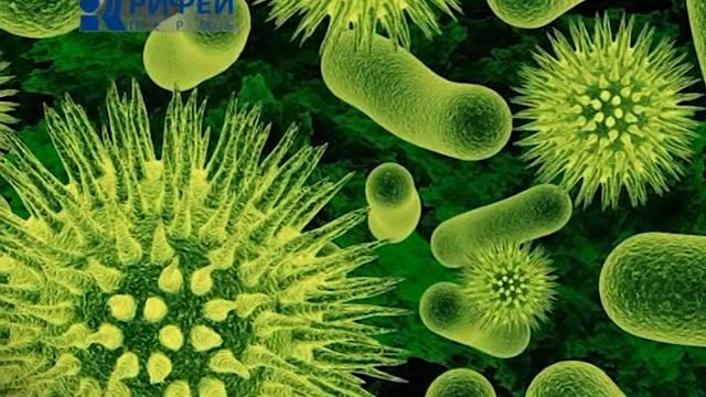 Ваше здоровье  Проветривание смотреть онлайн