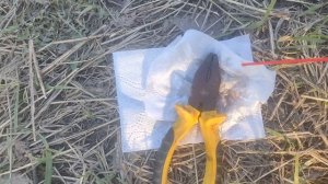 BBC RC-40 из "Cветофора" - Аналог WD - 40 или Не кчемная  вещь ?