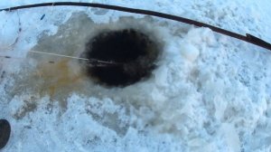 Зимняя рыбалка на сети. Подлёный лов щуки и карася